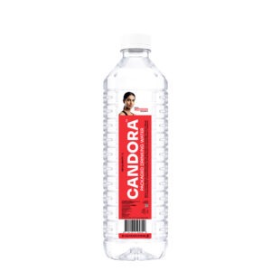 1L