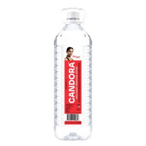 2L